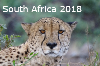 South Africa 2018